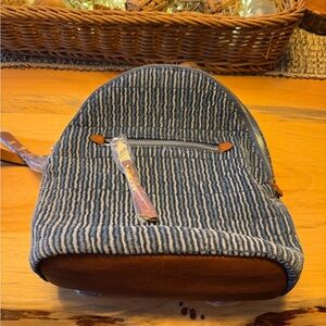 Splendid Blue and Brown Striped Backpack